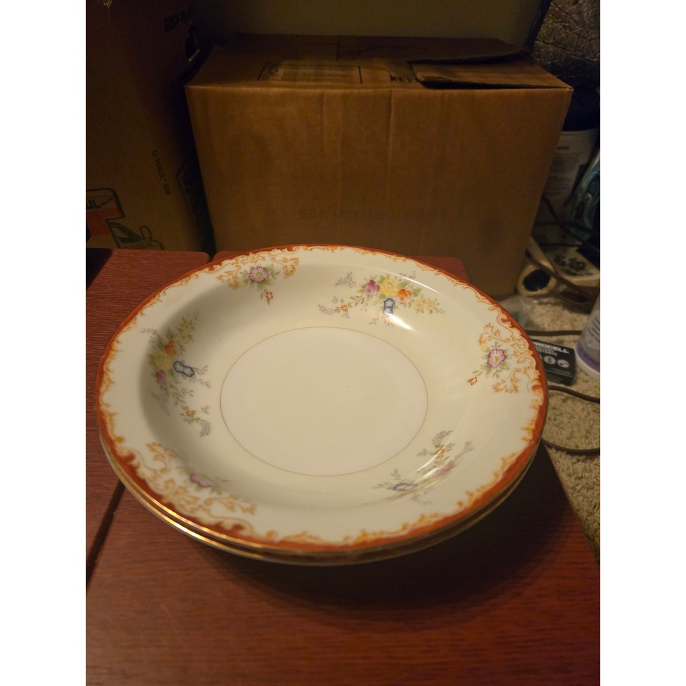 Vintage Hand Painted Japan Porcelain Floral Soup Bowls Orange Gold Rim Set of 2